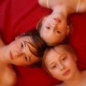Debra Perry's photo