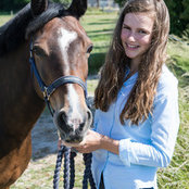 Dream Barnss foto