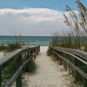 Stephanie Edwards's photo