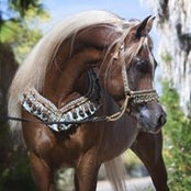 Colleen Jacksons foto