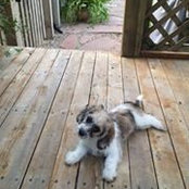 Sally Nimmo's photo