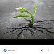 Faith Obidike's photo