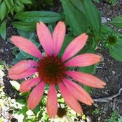Jane Marie Ouellette's photo