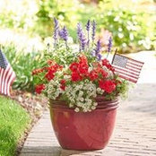 Tracy Vancil's photo