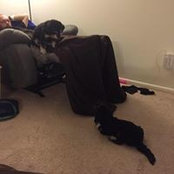 Amanda Wahl's photo