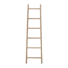 Ladders and plant holders
