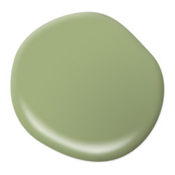 Fresh Guacamole M360-5 - Paint