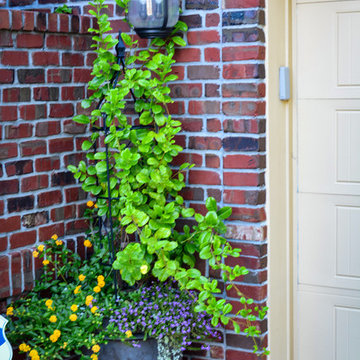 Corner lot Courtyard