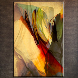 The Warmth - Artwork