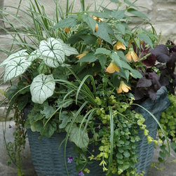 Various Containers - Outdoor Pots And Planters