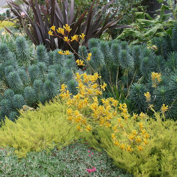 Romantic Bungalow Garden