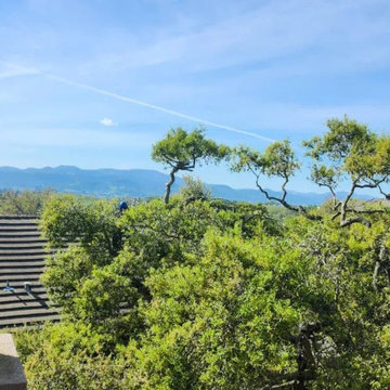 Greenview Tree Care