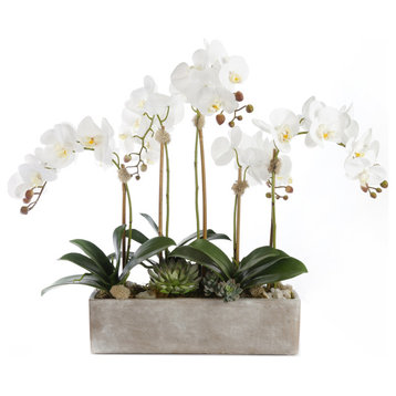 Modern Cream White Orchid Arrangement