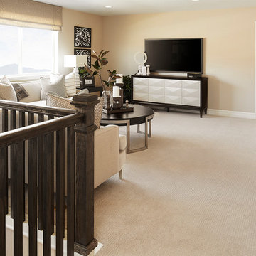 Hopewell model home in Colorado