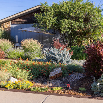 Pollinator Paradise