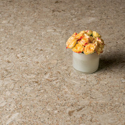 Cambria - Cambria in Berkeley - Kitchen Countertops