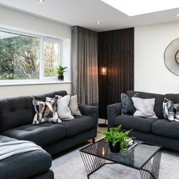 Modern Contemporary Living Space