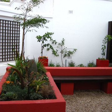 Small Contemporary Townhouse Grden