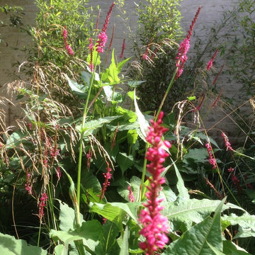 Jardin de ville 100m2 - Bruxelles - Détail