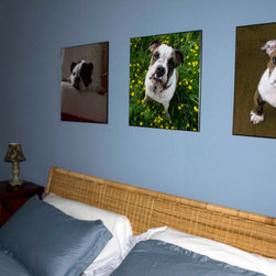 PopMount Products - Artwork