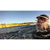 Olivier Bourque's photo