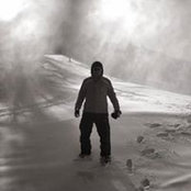 Mark Sheedy's photo