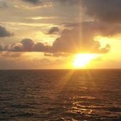 Carol Allessio's photo