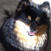 Peggy Premas's photo