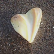Dawn Johnson Taylor's photo