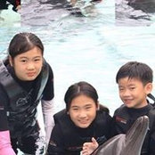 Claire Kang's photo