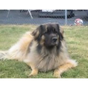 Michael Shine's photo