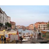 Fariba Faridmoayer's photo