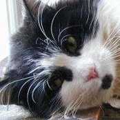 Vicki Smith's photo