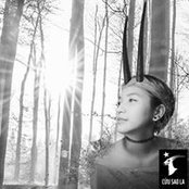Lê Trầnさんの写真