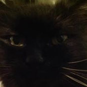 Amy Wharton's photo