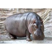 Larry Pruett's photo