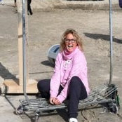 Sari Perlsteins foto