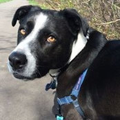 Shelly Houchins's photo