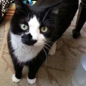 Christine Vidotto's photo