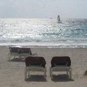 Foto von JoAnn Wheeler