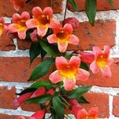 Beth Conwell's photo