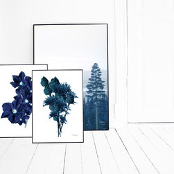 Prints - Prints And Posters
