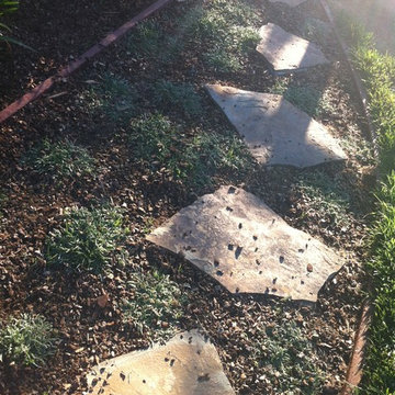 Backyard Patio and Natural Plantings