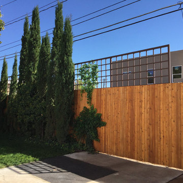Trellis mounted on Boundary Fence to block view