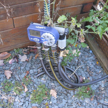Fenced Garden