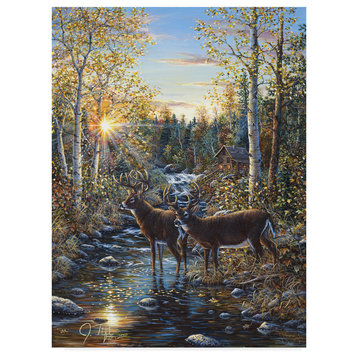 Jeff Tift 'Whitetail Deer' Canvas Art, 32"x24"