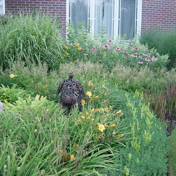 Front yard garden