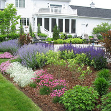plantings