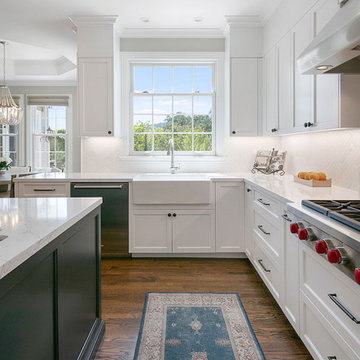 Transitional Kitchen Remodel in Danville