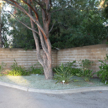 South Africa Native Garden, (Drought Tolerant) Gardens of the World